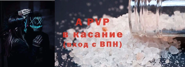 PSILOCYBIN Богородицк
