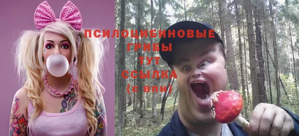 Альфа ПВП Богданович