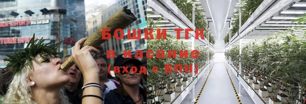 PSILOCYBIN Богородицк