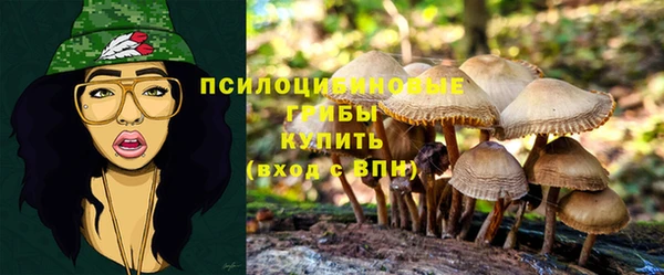 трава Богородск